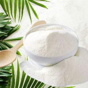 Palm Sprouted Powder - பனங்கிழங்கு மாவு