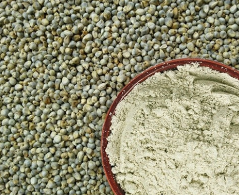 Bajra Powder (கம்பு)